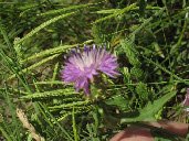 wpcd75e492_1b.jpg
