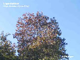 wpd068f908_1b.jpg