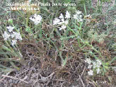 wpe044682f_1b.jpg