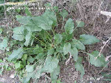 wpe06098ec_1b.jpg