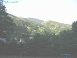 wpe13b296d_1b.jpg