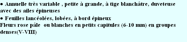 wpeca3257f.png