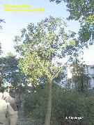 wpecbb0f27_1b.jpg