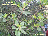 wpee80384e_1b.jpg