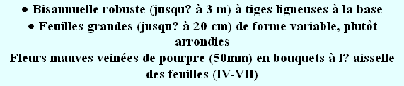 wpef09a487.png
