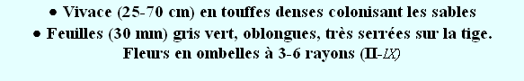 wpf0f54bb6.png