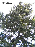 wpfb8697d9_1b.jpg