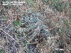 wpfe4390d8_1b.jpg